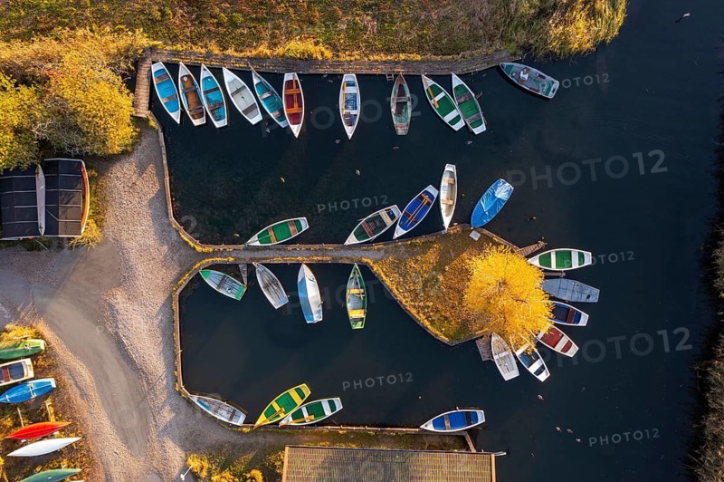 Rowing boats in the harbour from above