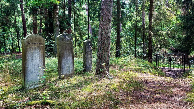 Jewish cemetery Bleckede