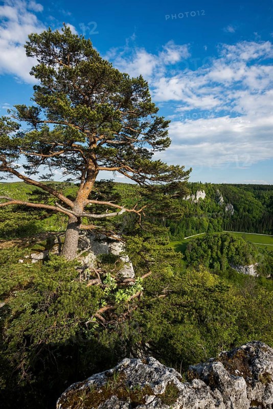 View from Stiegelesfelsen