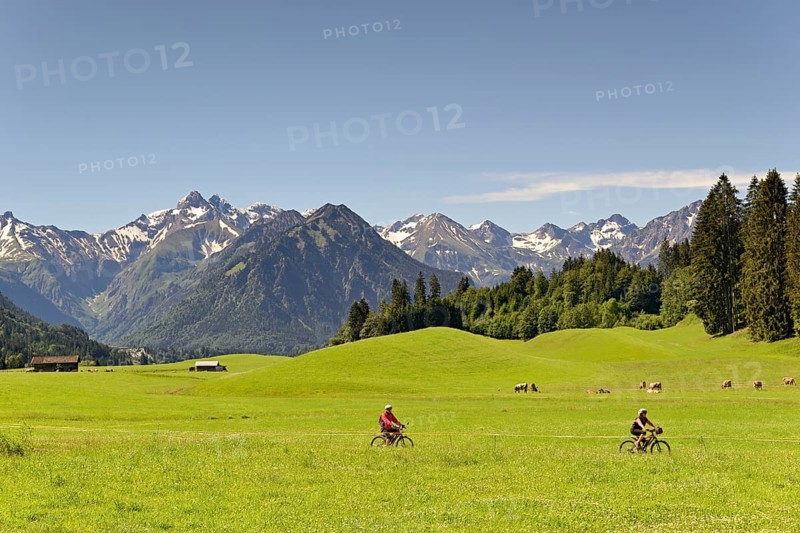 View from the meadows near the village Reichenbach to the mountain panorama of the Allgaeu Alps