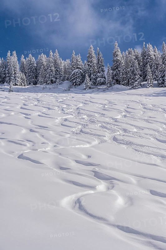 Ski tracks in deep snow on the slope of the Rauhkopf in winter
