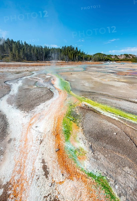 Red mineral deposits and green algae at a thermal spring