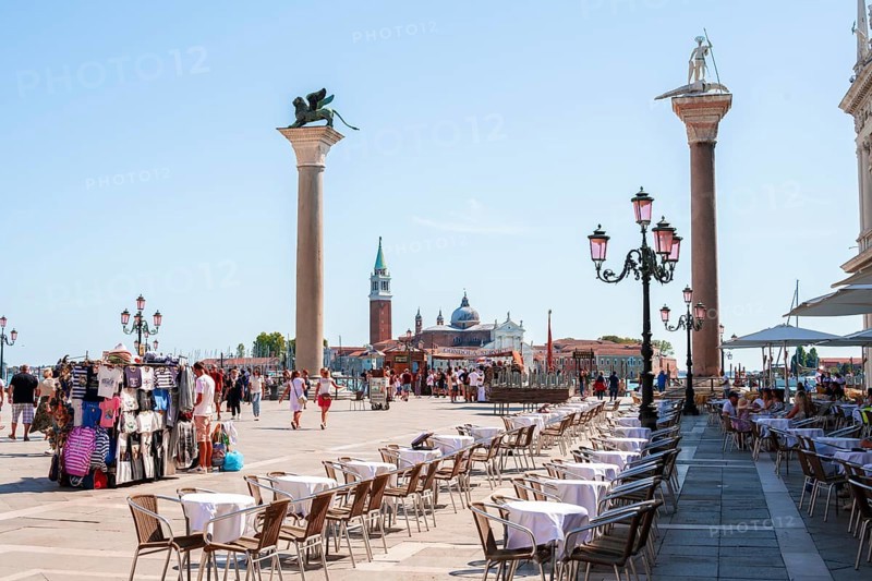 Columns with Marcus Lion