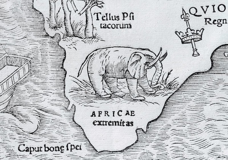 Elephant