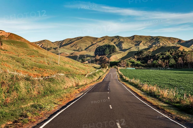 Hilly landscape