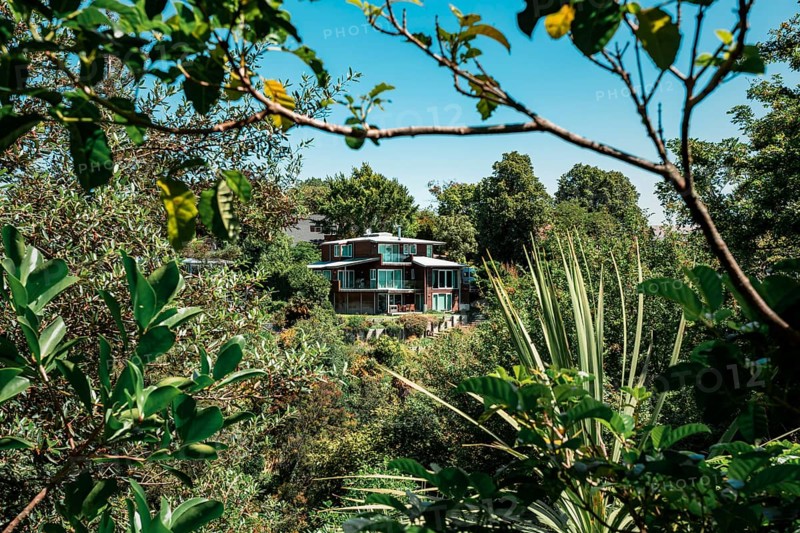 House in Napier