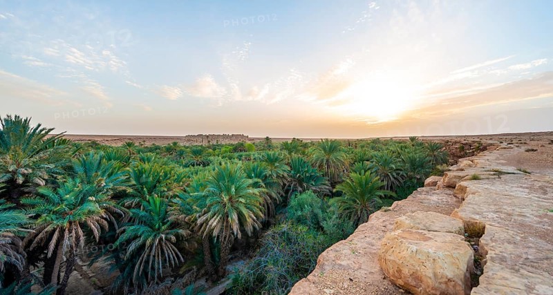 Cliff edge and valley full of palm trees