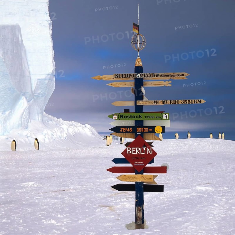 Emperor penguins (Aptenodytes forsteri) walking behind a German Signpost on the ice