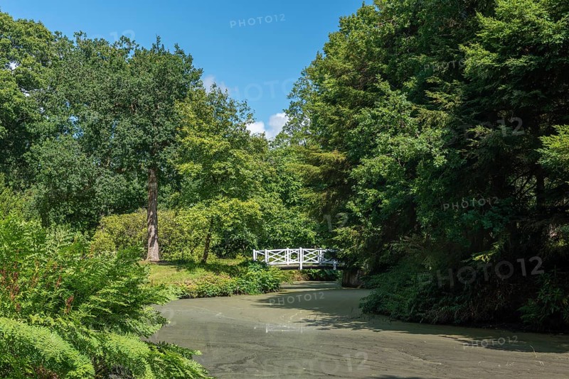 Landscape garden and castle park