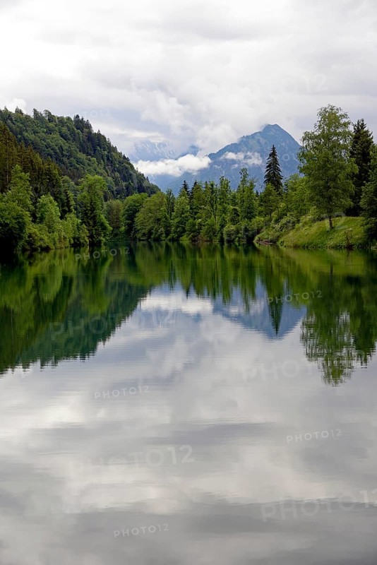 Auwaldsee