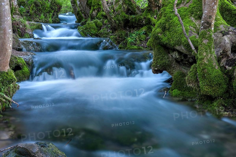 Watercourse Bruehlbach