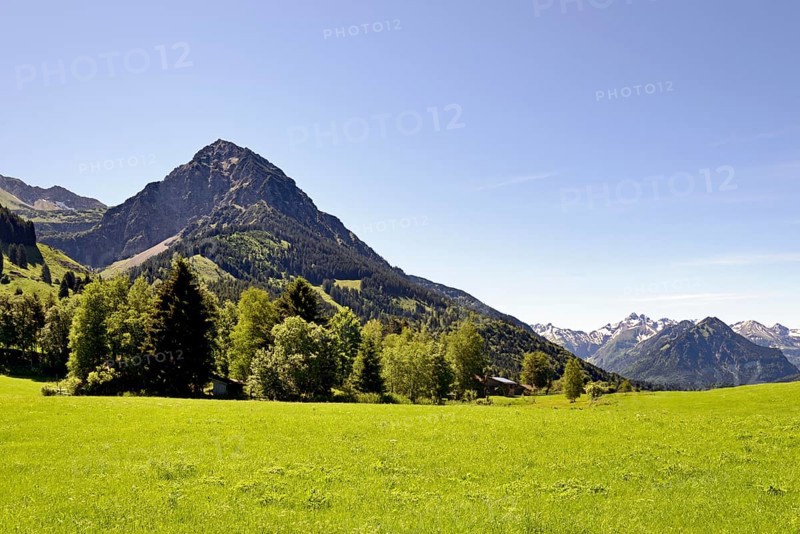 View from the meadows near the village Reichenbach to the mountain Rubihorn 1957 m