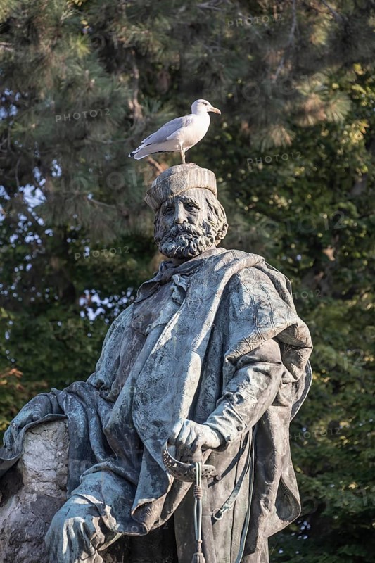 Seagull sitting on the head of a statue