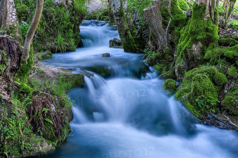Watercourse Bruehlbach