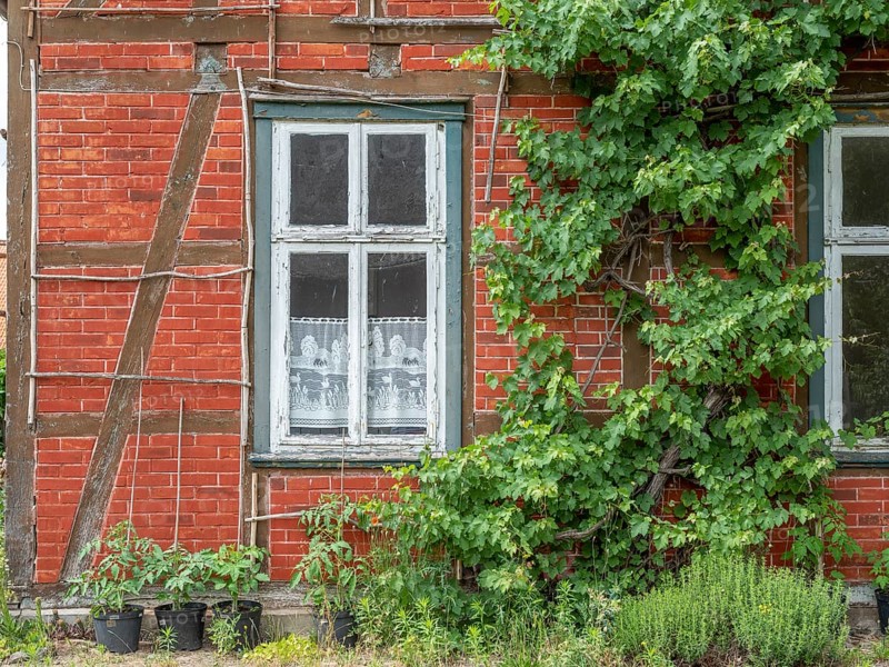 Detail of a half-timbered house in the Rundlingsdorf Guehlitz. The village is one of the 19 Rundling villages that have applied to become a UNESCO World Heritage Site. Guehlitz