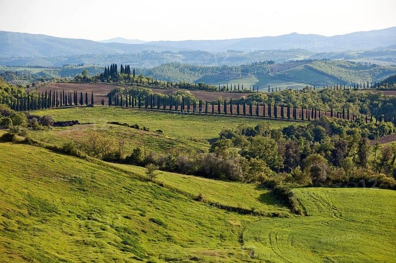 Hilly landscape of Tuscany