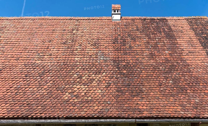 Roof with plain tiles on an old farmhouse from 1695