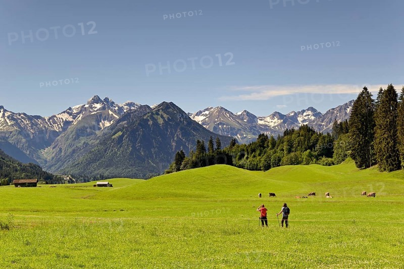 View from the meadows near the village Reichenbach to the mountain panorama of the Allgaeu Alps