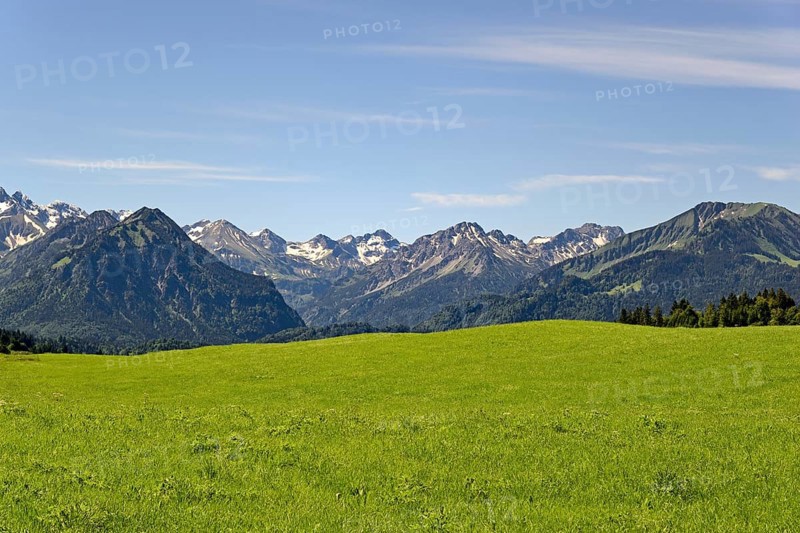 View from the meadows near the village Reichenbach to the mountain panorama of the Allgaeu Alps