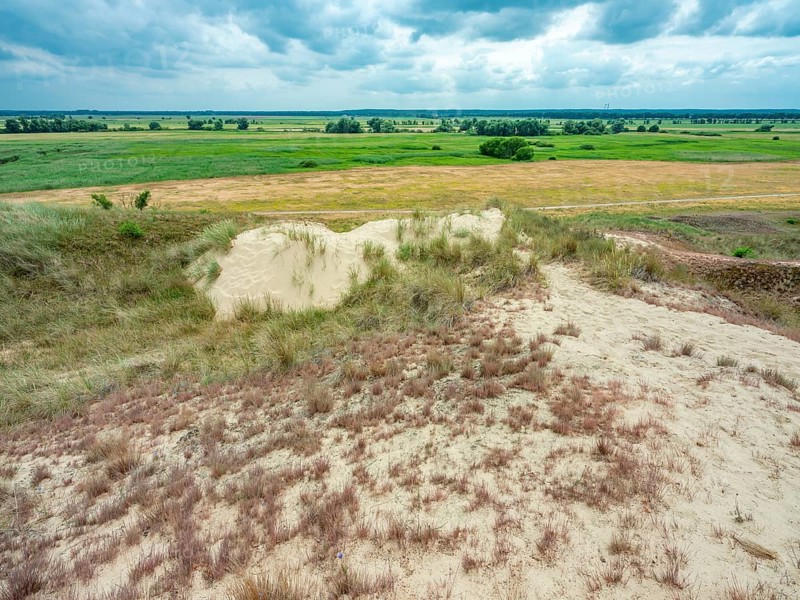 Dry sandy grassland in the Binnenduenen nature reserve near Klein Schmoelen