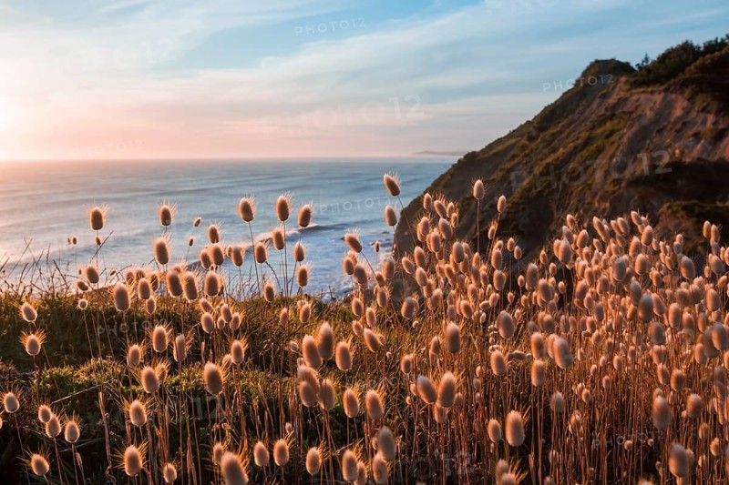 Sunset at Mahia Bay
