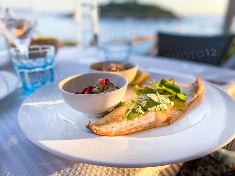 Grilled turbot fillet with side dishes