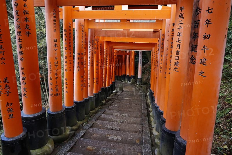 Famous torii gates on the path to Fushimi Inari Taisha shrine on Mount Inari in Kyoto