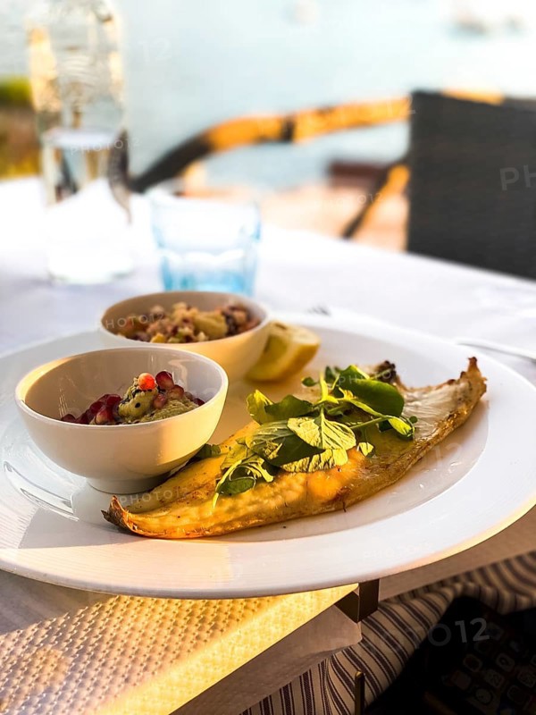 Grilled turbot fillet with side dishes
