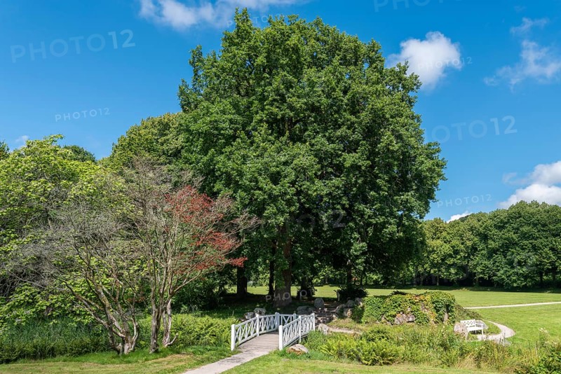 Landscape garden and castle park