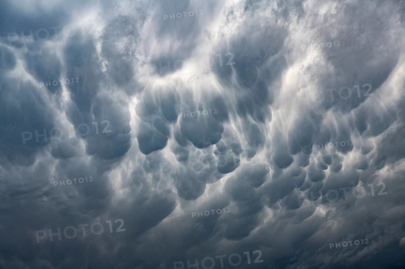Mammatus