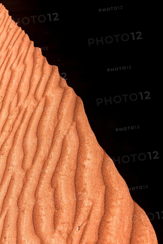 Desert
