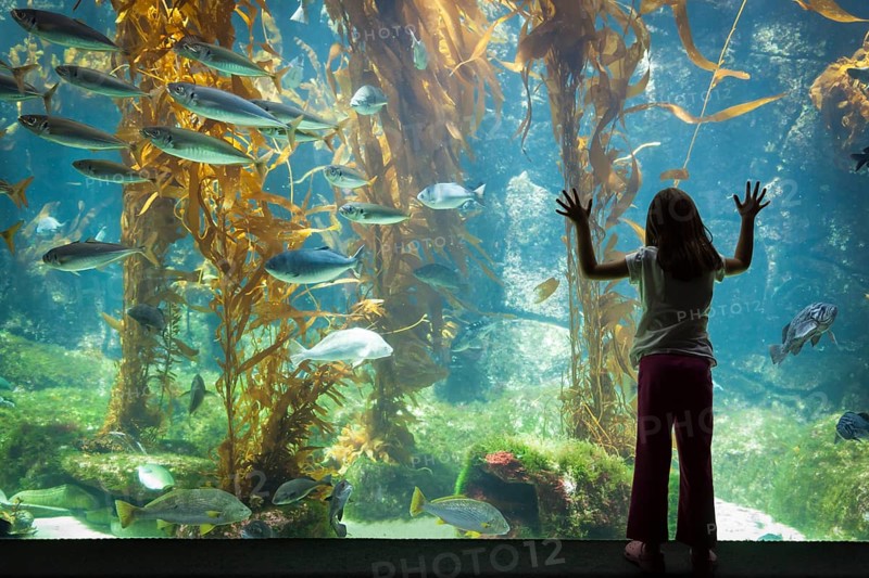 Amazed young girl standing up against large aquarium observation glass