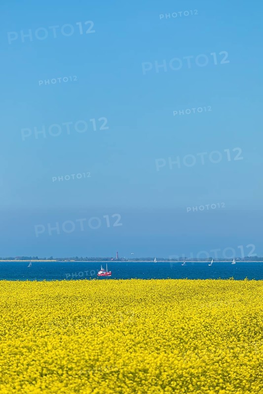 Boats