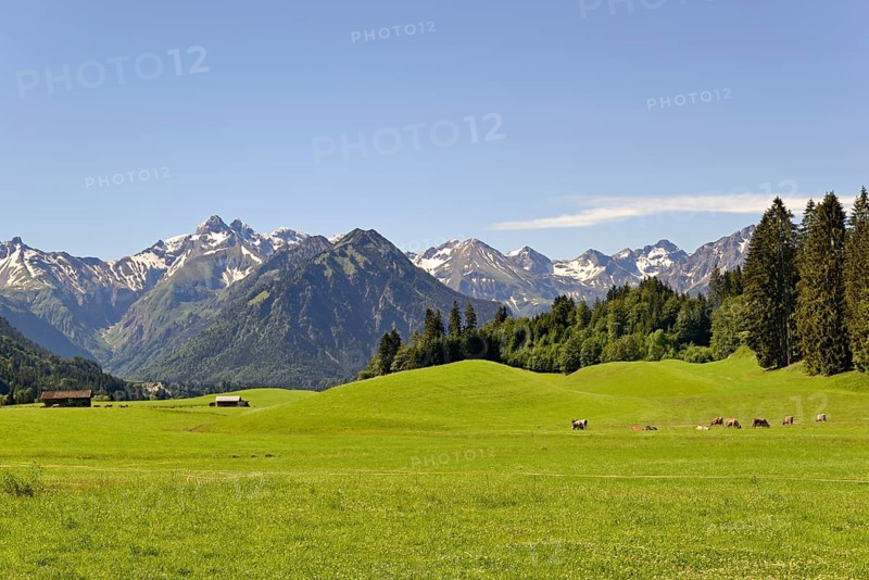 View from the meadows near the village Reichenbach to the mountain panorama of the Allgaeu Alps