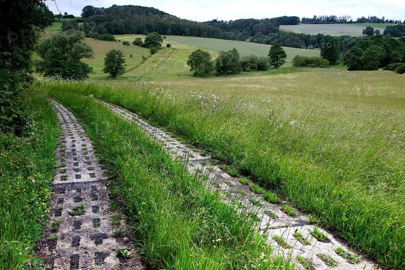 Kolonnenweg