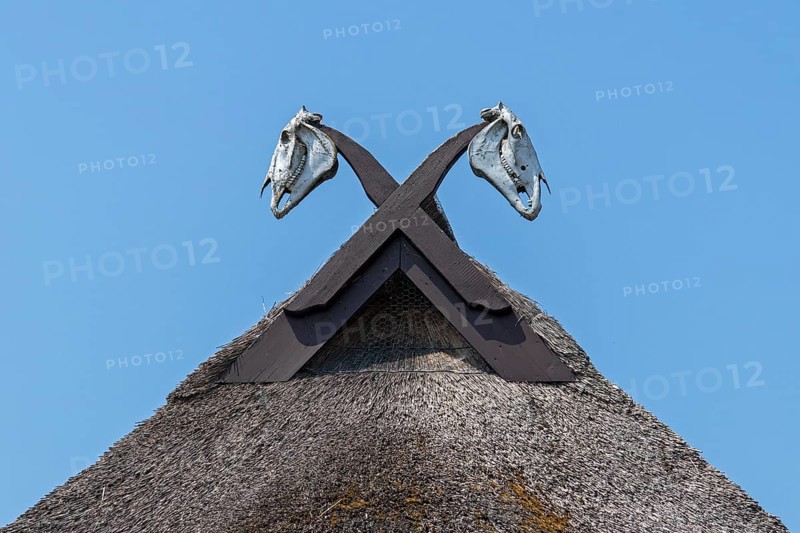 Horse skull on a thatched roof