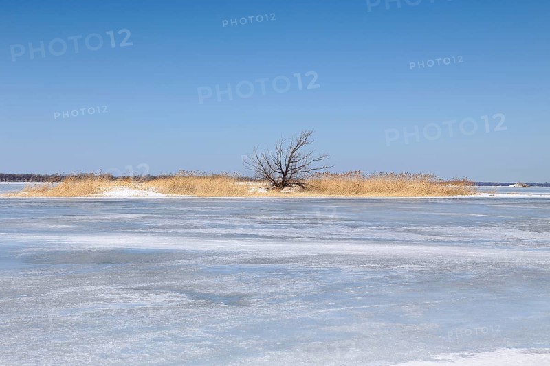 Winter landscape
