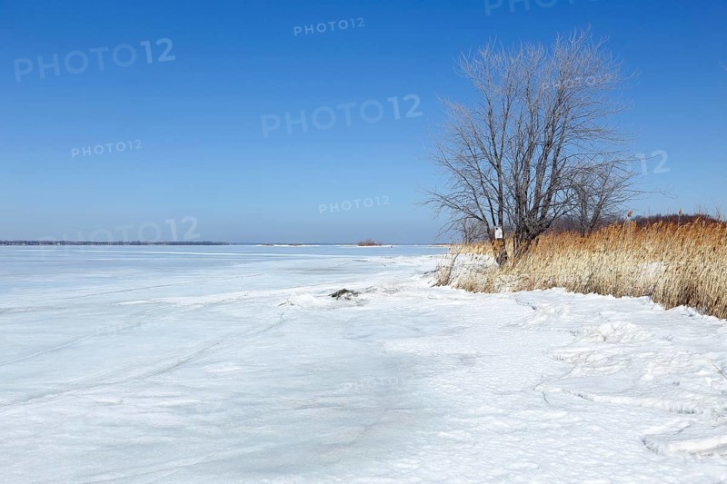 Winter landscape