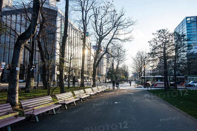 Odori Park