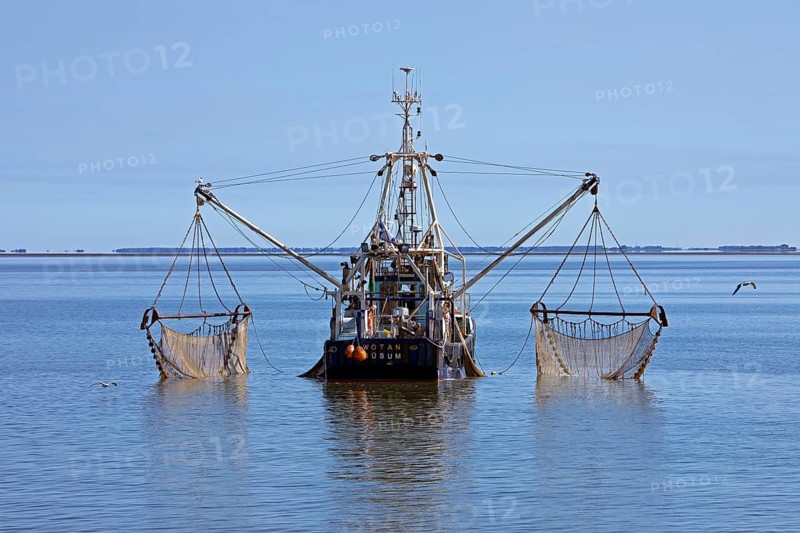Crab cutter in the North Sea off Buesum