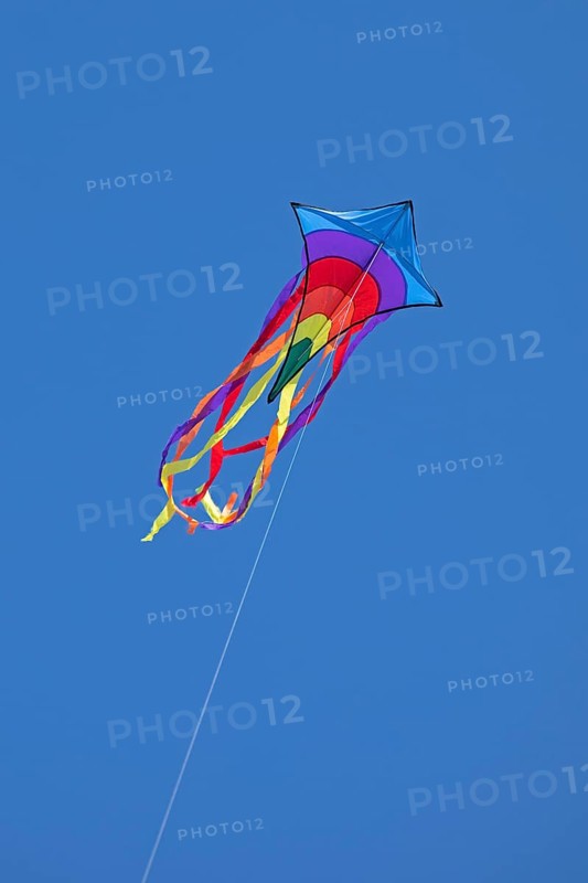 Flying kite