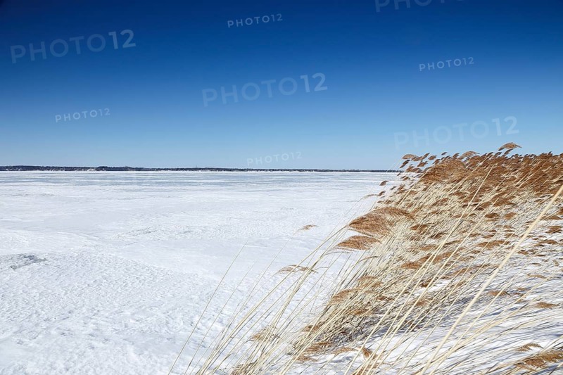 Winter landscape