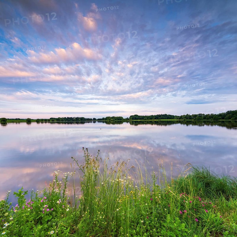 New pond in the Plothen pond area near Morgenrot