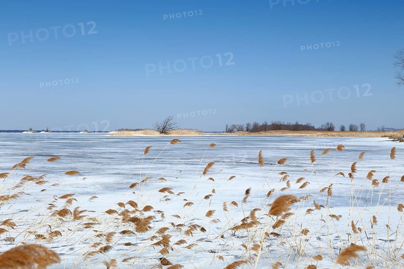 Winter landscape