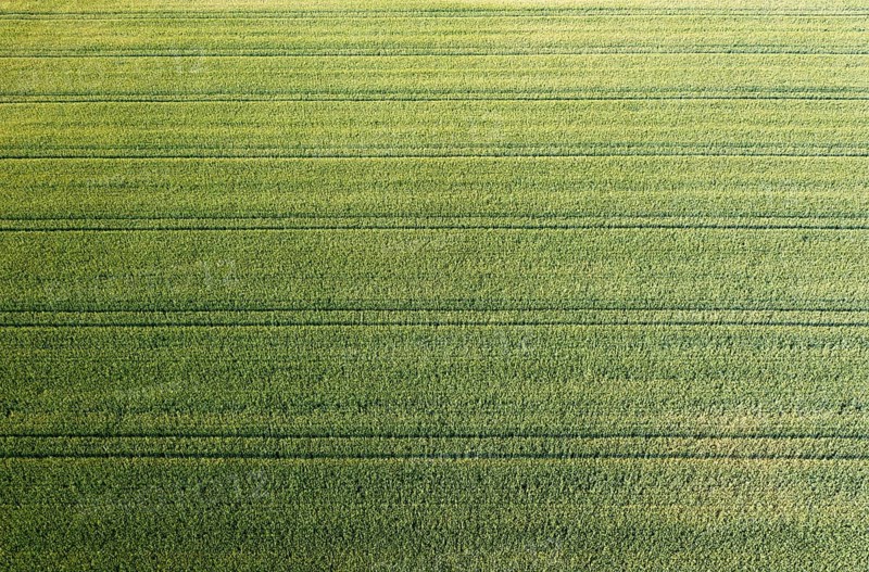 Drone image