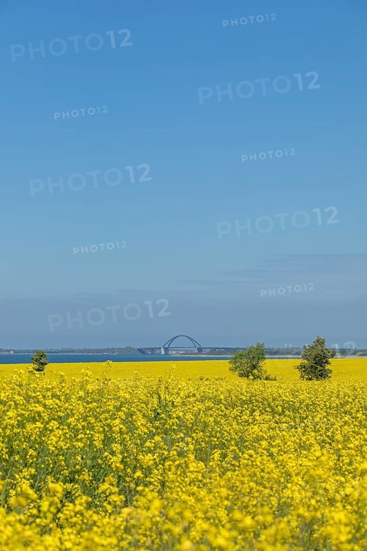 Fehmarnsund Bridge