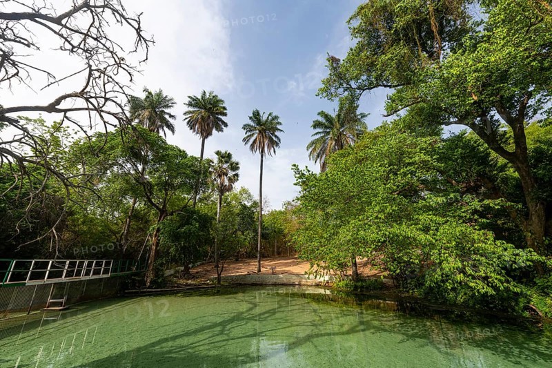 Turquoise Wikki warm springs