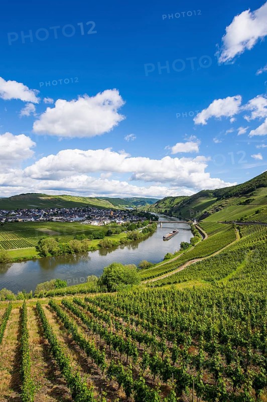 The Moselle at Trittenheim