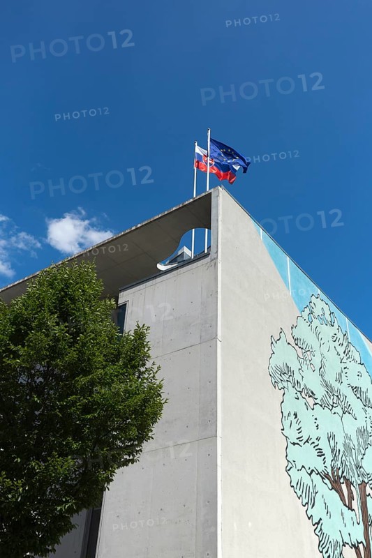 Flag of Slovakia and the European Flag