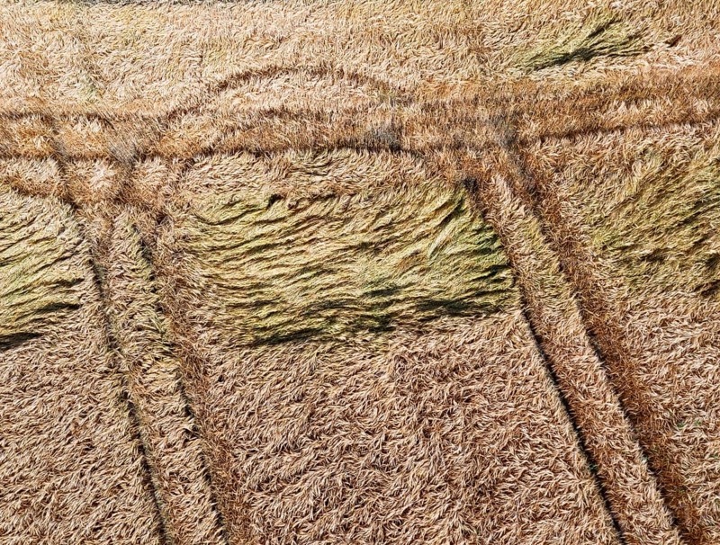 Drone image